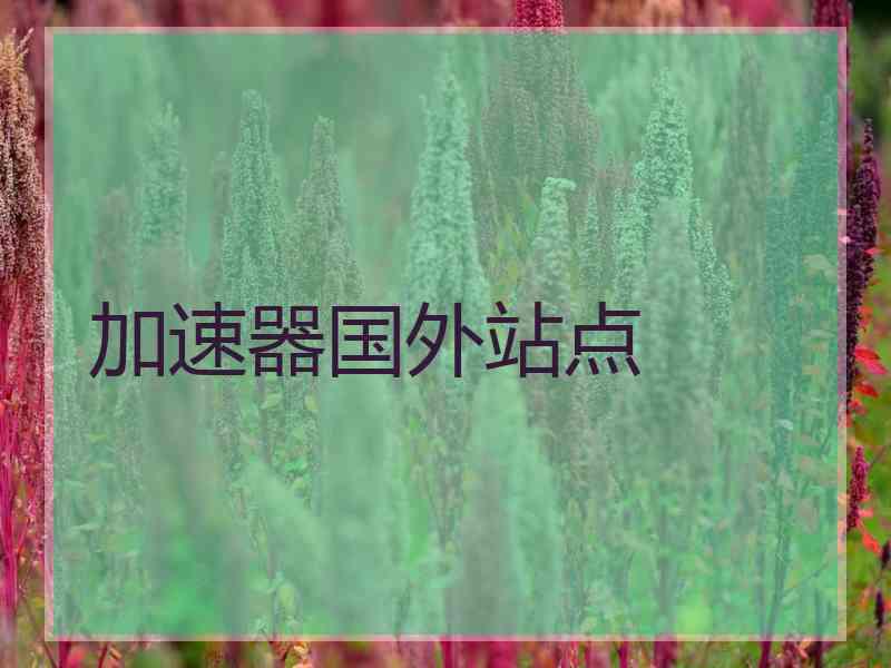 加速器国外站点