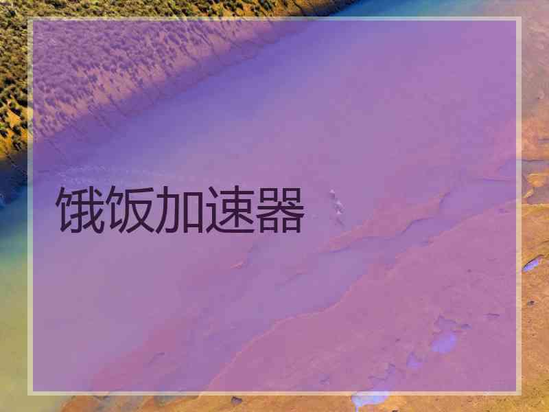 饿饭加速器