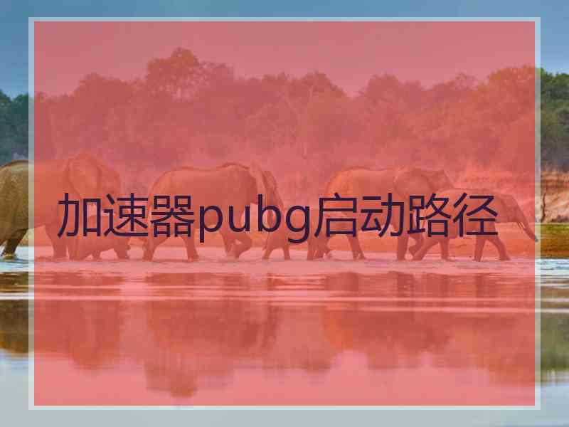 加速器pubg启动路径