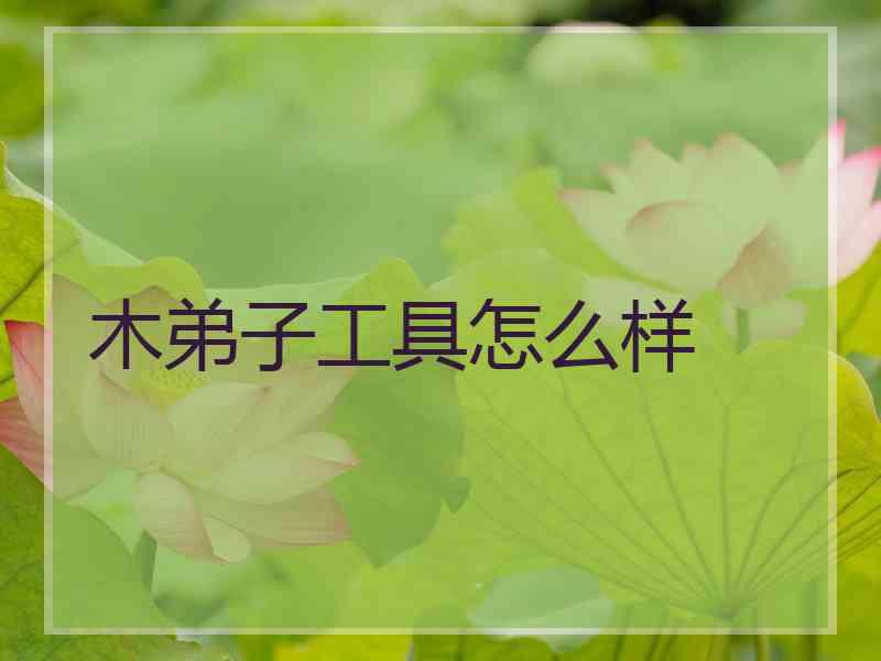 木弟子工具怎么样