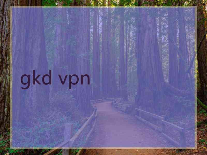 gkd vpn