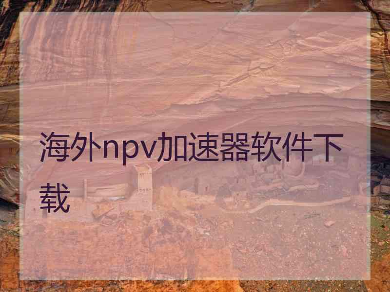 海外npv加速器软件下载