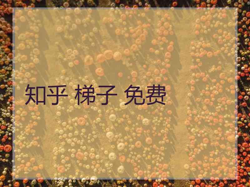 知乎 梯子 免费