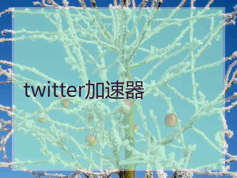 twitter加速器
