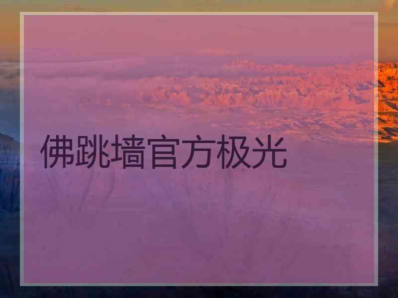 佛跳墙官方极光