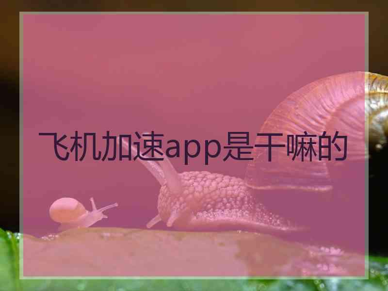 飞机加速app是干嘛的