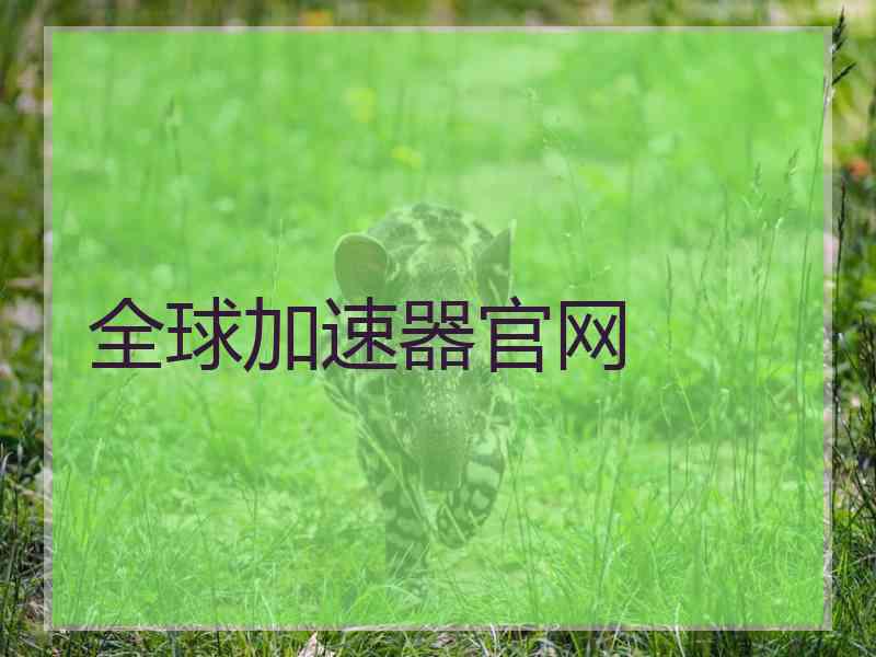 全球加速器官网