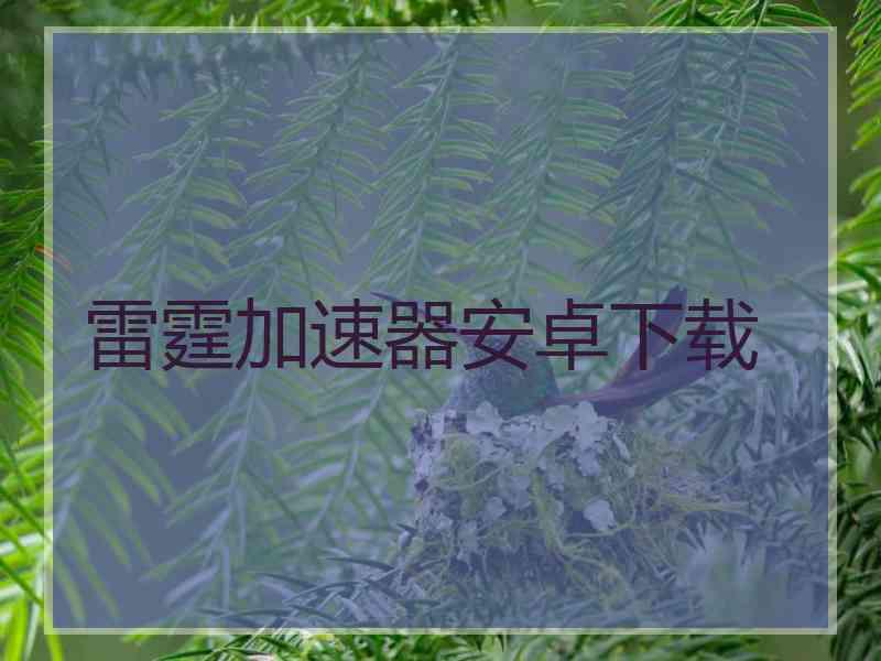 雷霆加速器安卓下载