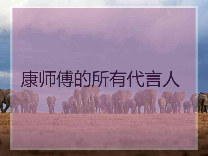 康师傅的所有代言人