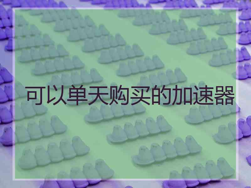 可以单天购买的加速器