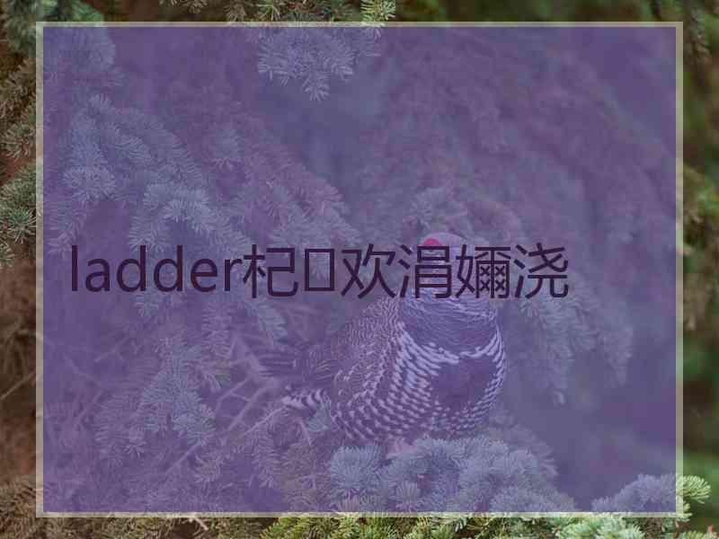 ladder杞欢涓嬭浇