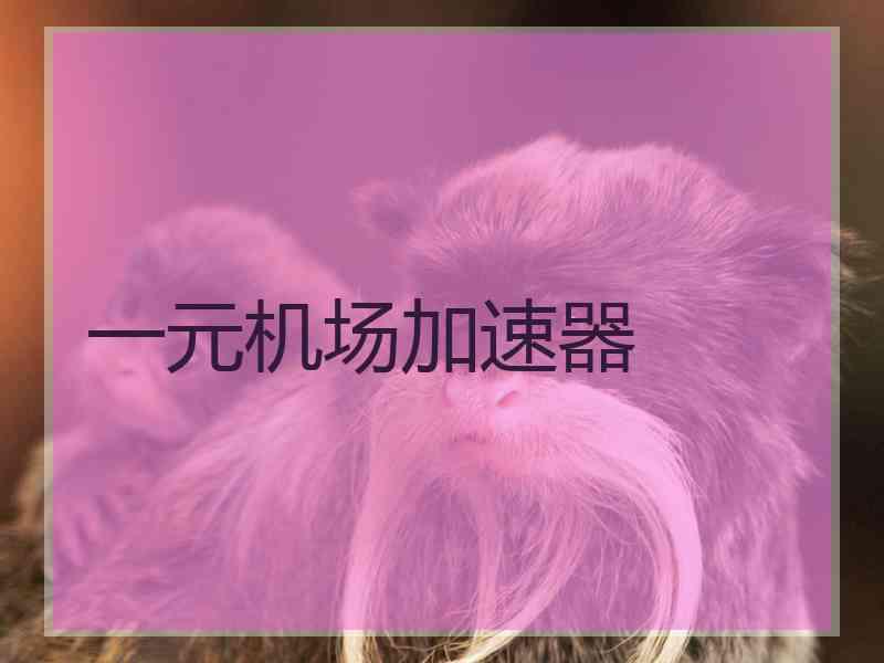 一元机场加速器