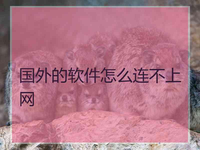 国外的软件怎么连不上网