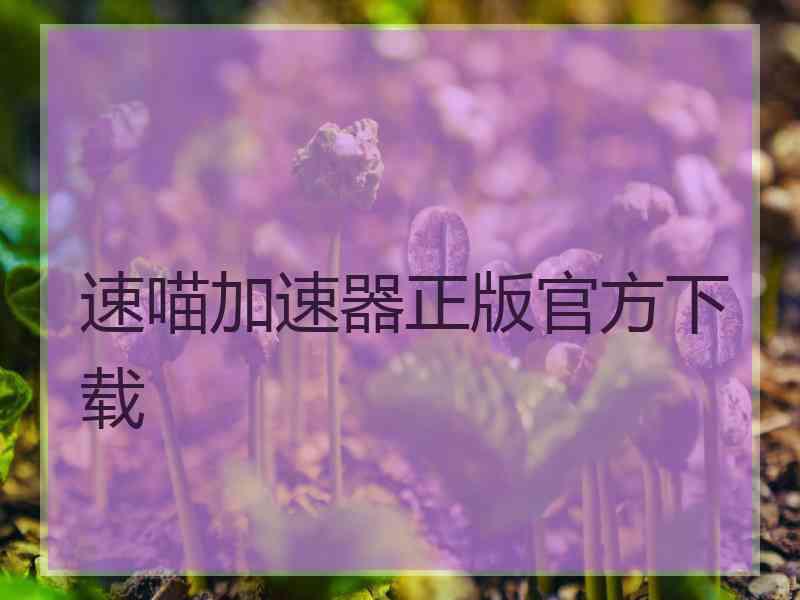 速喵加速器正版官方下载
