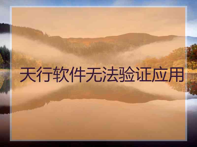 天行软件无法验证应用