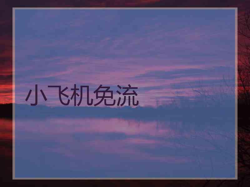 小飞机免流