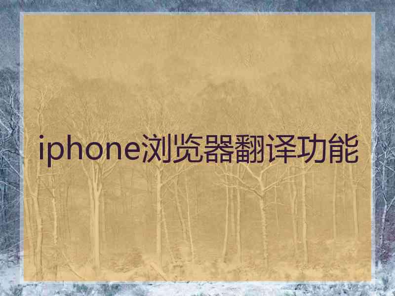 iphone浏览器翻译功能