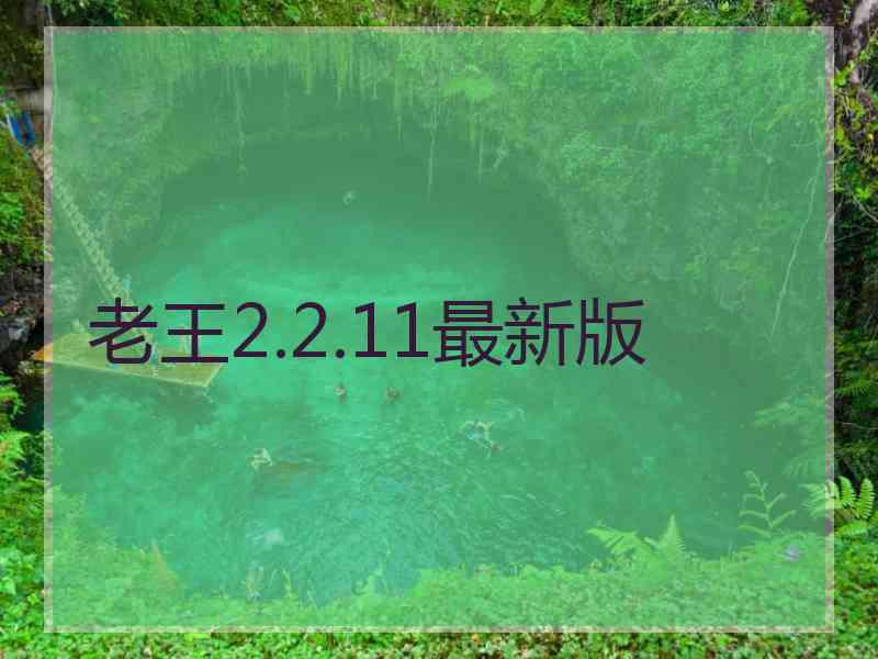 老王2.2.11最新版