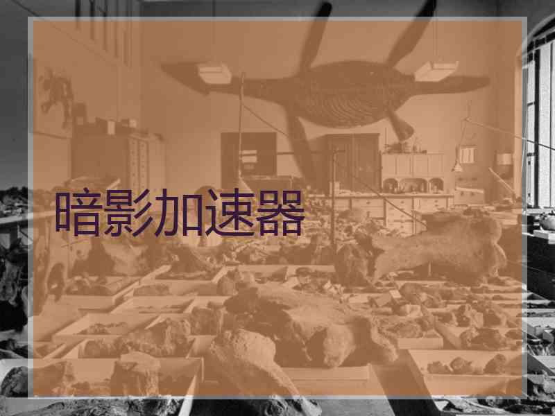 暗影加速器