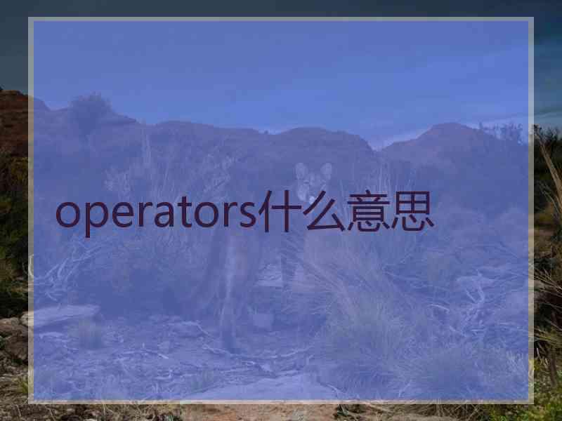 operators什么意思