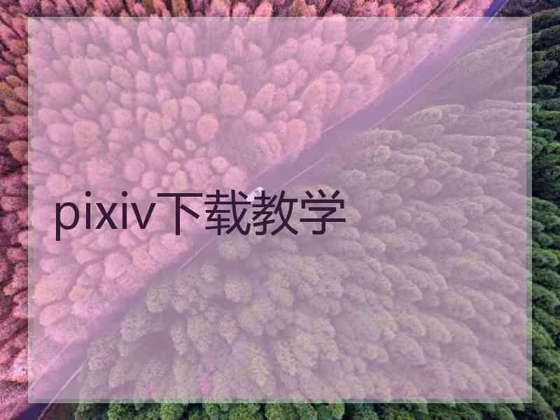 pixiv下载教学