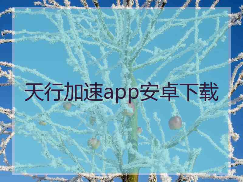 天行加速app安卓下载