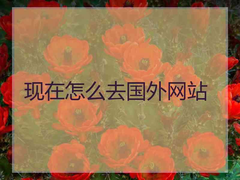 现在怎么去国外网站