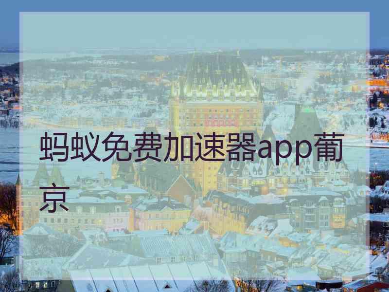 蚂蚁免费加速器app葡京