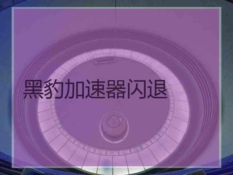 黑豹加速器闪退