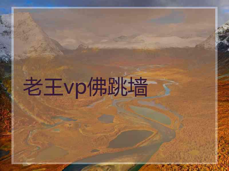 老王vp佛跳墙