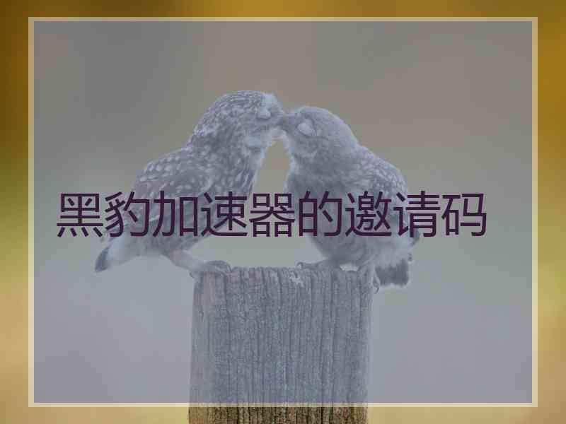 黑豹加速器的邀请码