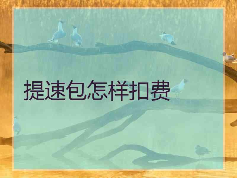 提速包怎样扣费