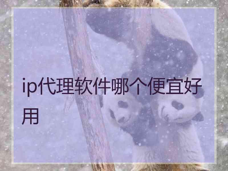 ip代理软件哪个便宜好用