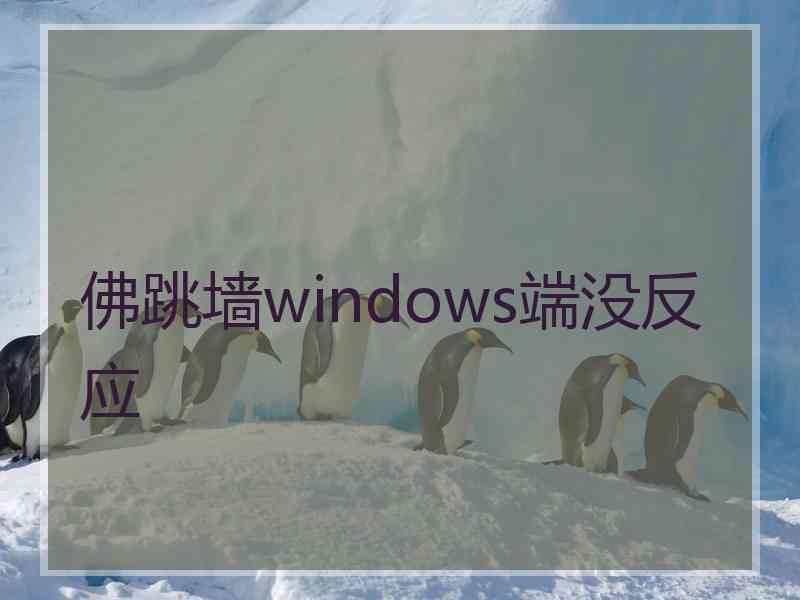 佛跳墙windows端没反应