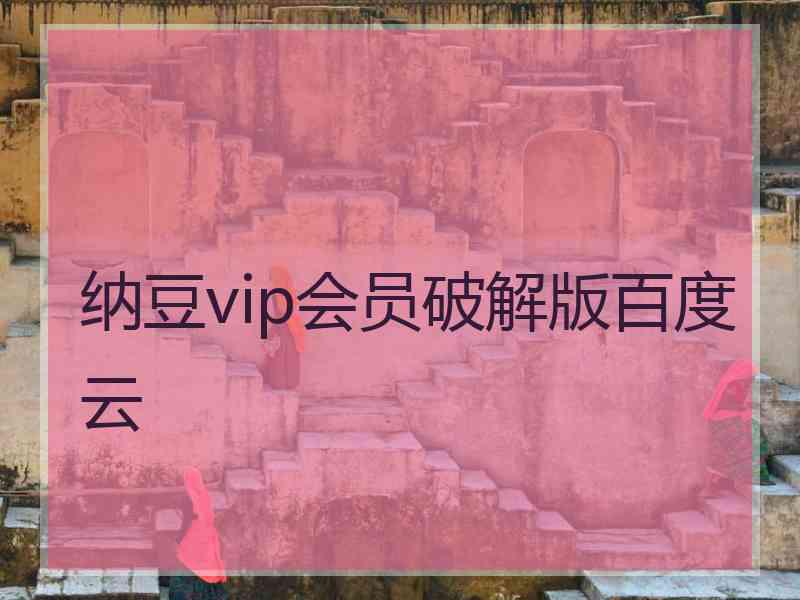纳豆vip会员破解版百度云