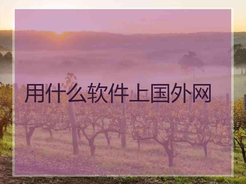 用什么软件上国外网