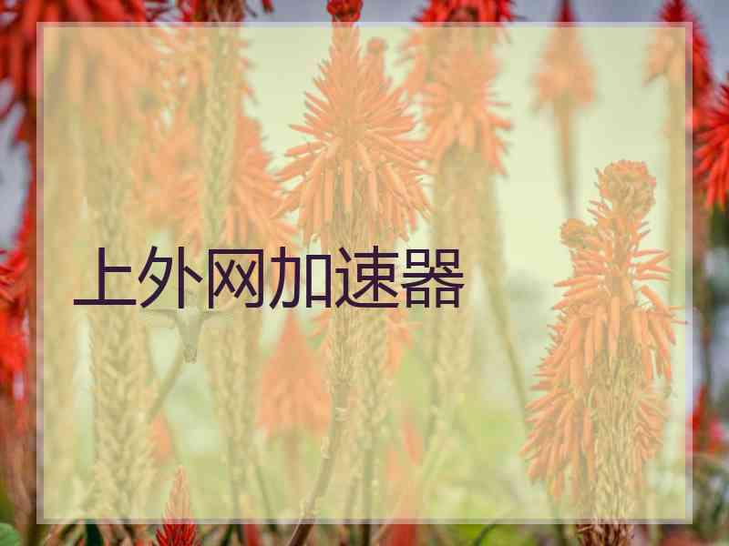 上外网加速器