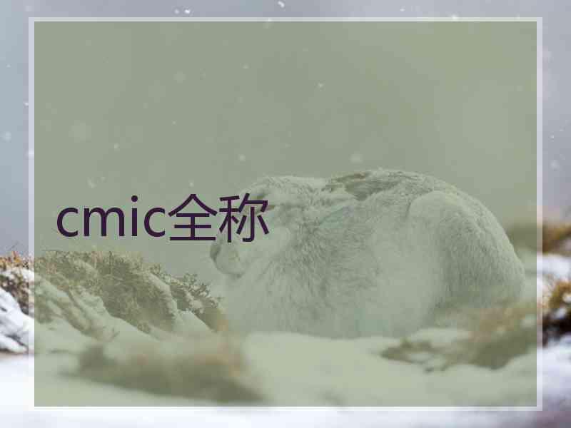 cmic全称