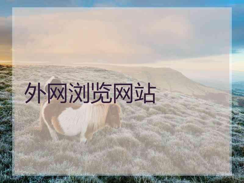 外网浏览网站