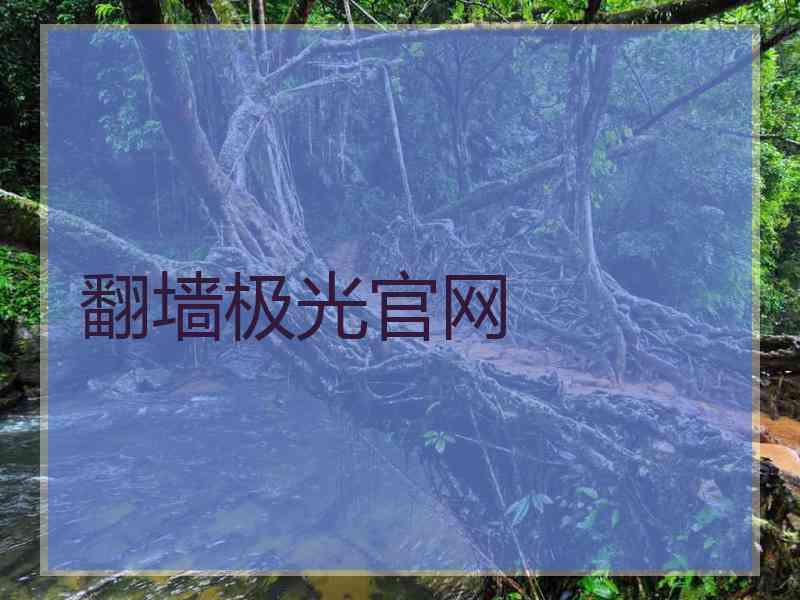 翻墙极光官网