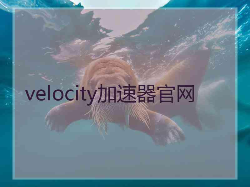velocity加速器官网
