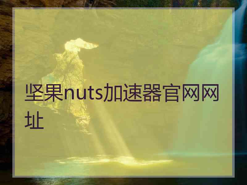 坚果nuts加速器官网网址