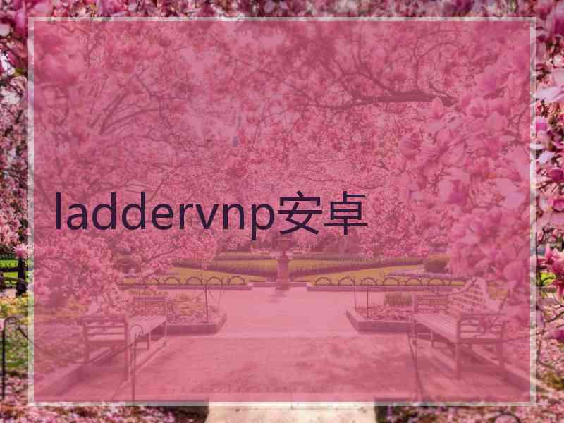 laddervnp安卓