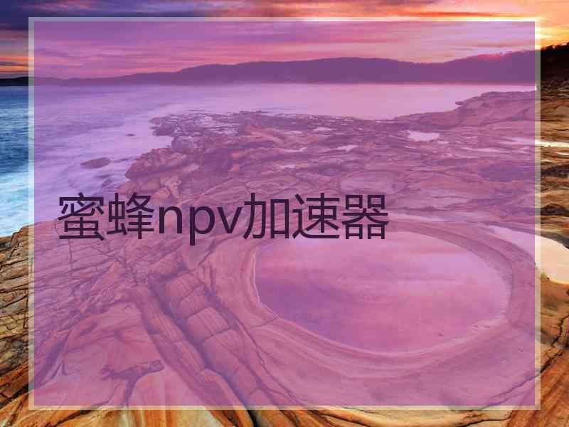 蜜蜂npv加速器