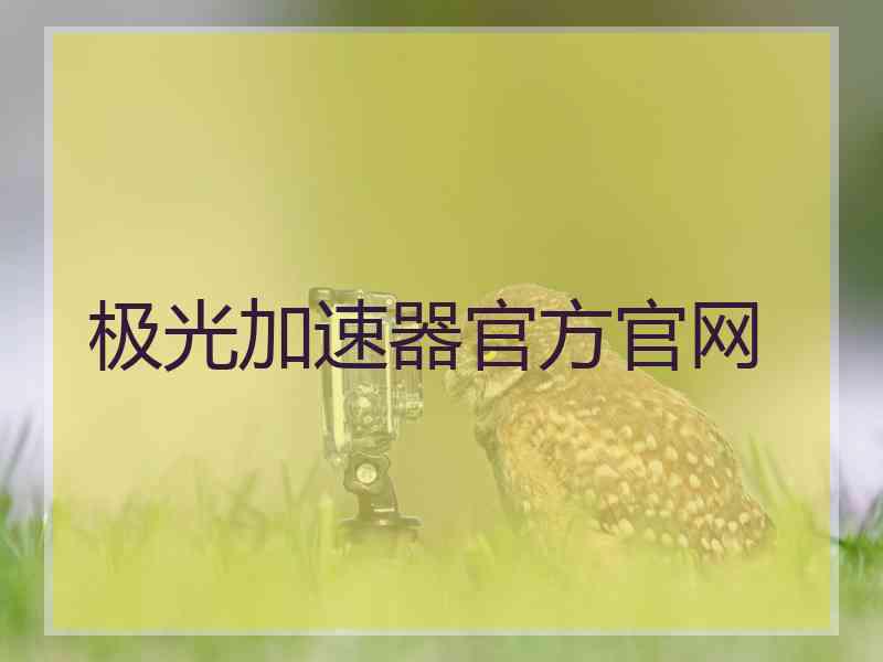 极光加速器官方官网