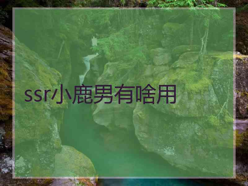 ssr小鹿男有啥用