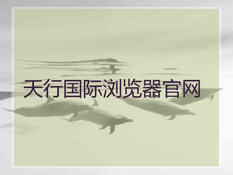 天行国际浏览器官网