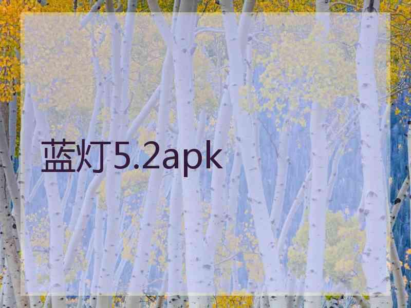蓝灯5.2apk