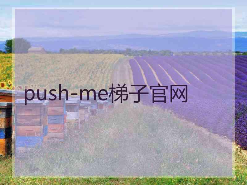 push-me梯子官网