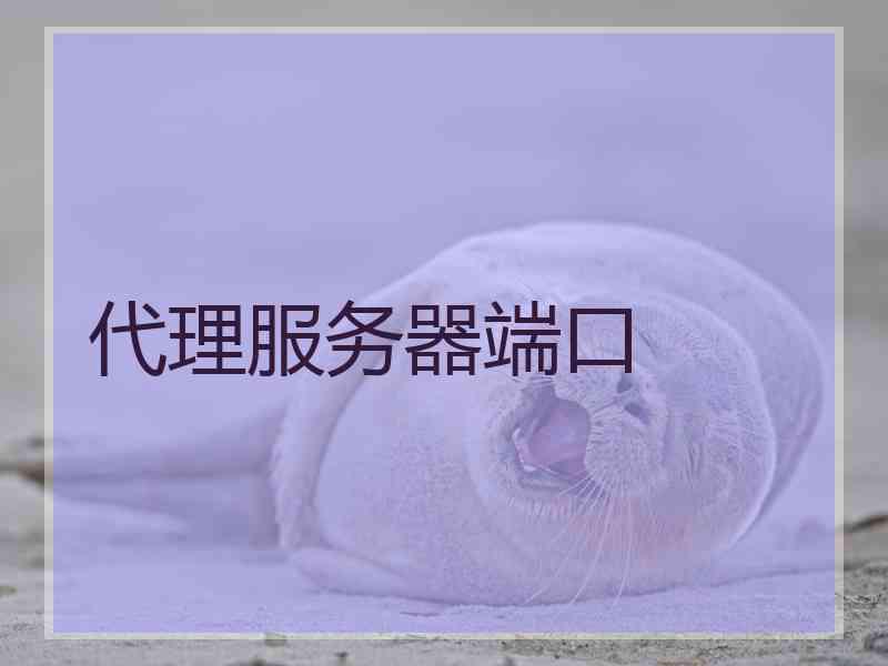 代理服务器端口